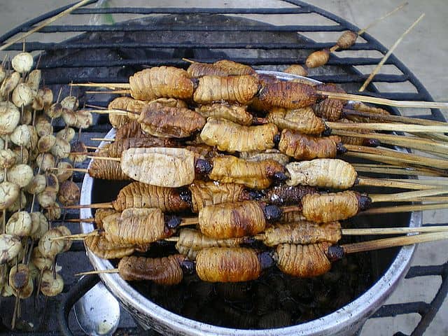 Iquitos Gegrillte Maden