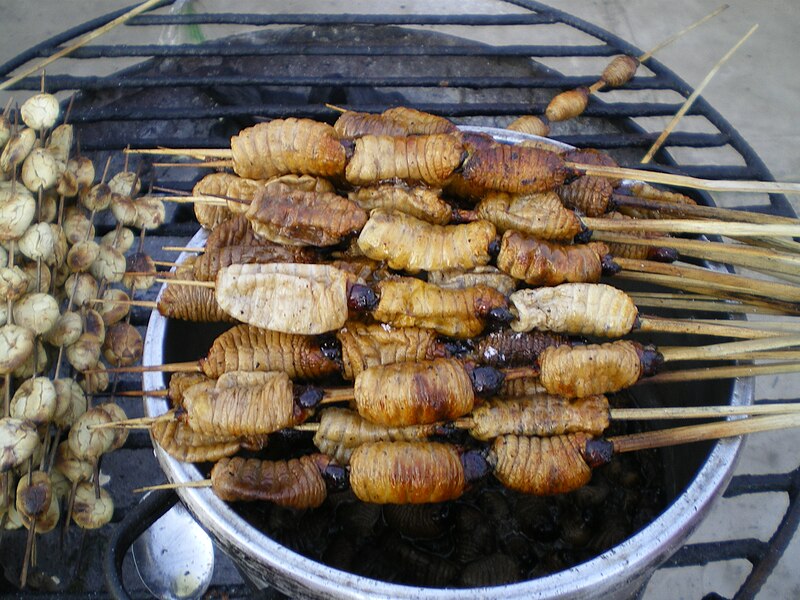 File:Iquitos Gegrillte Maden.JPG