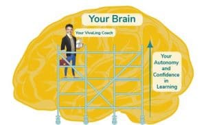 Pedagogical scaffolding in foreign language learning