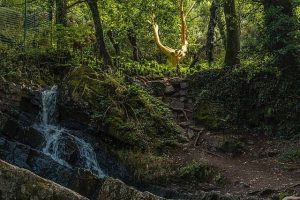 La forêt de Borcéliande et ses légendes